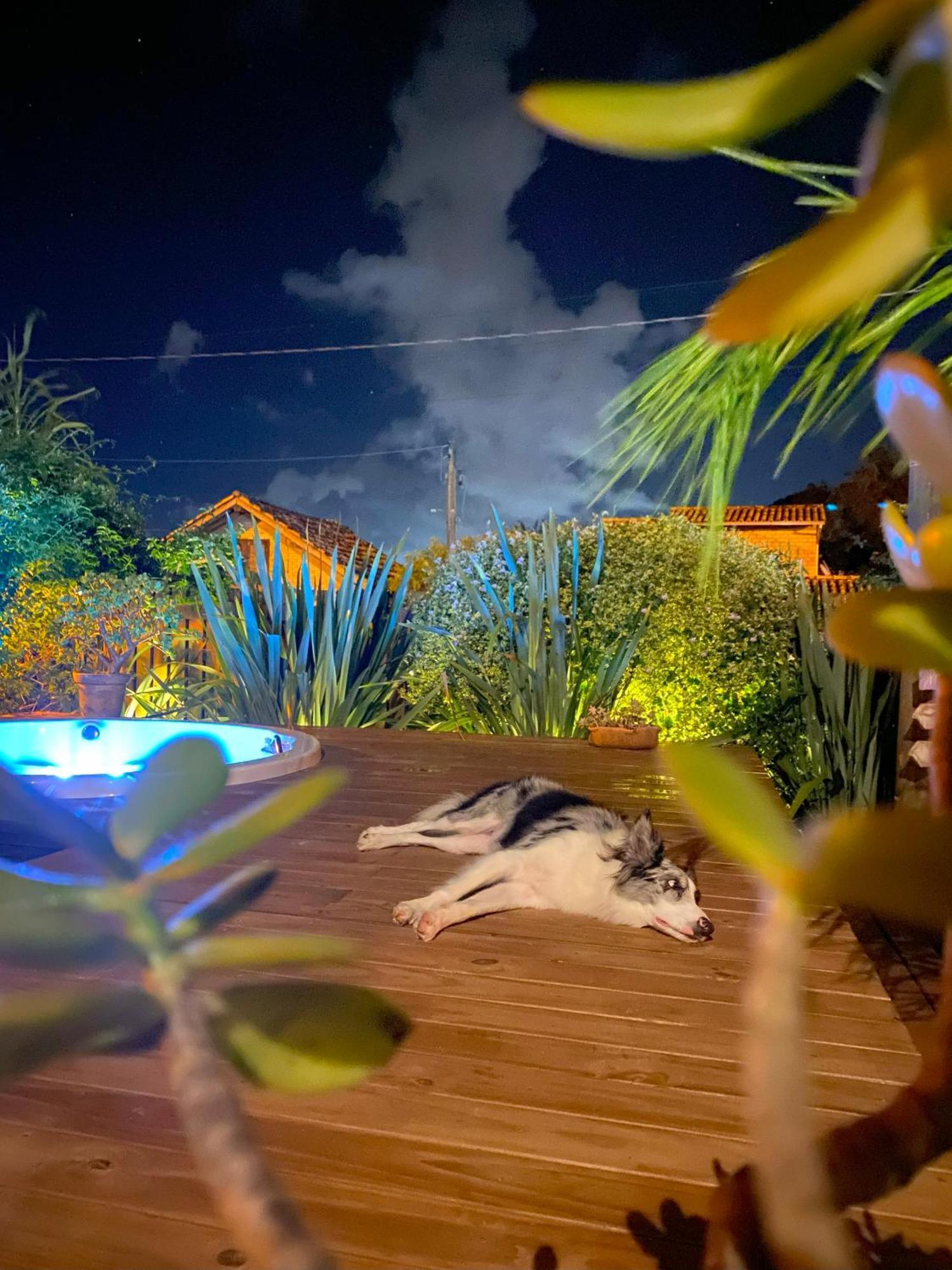 Kanaloa Vibe Stay Praia do Rosa Exteriör bild